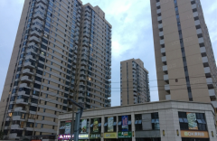  陕西渭南 米兰花圃