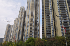  江西遵义 君悦丽湖小区